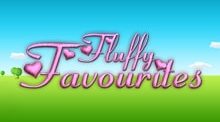 Fluffy Favourites